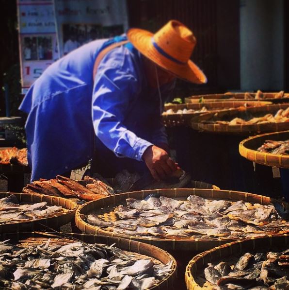 Cosa vedere nella città di Bangkok: il Mercato di Chatuchak