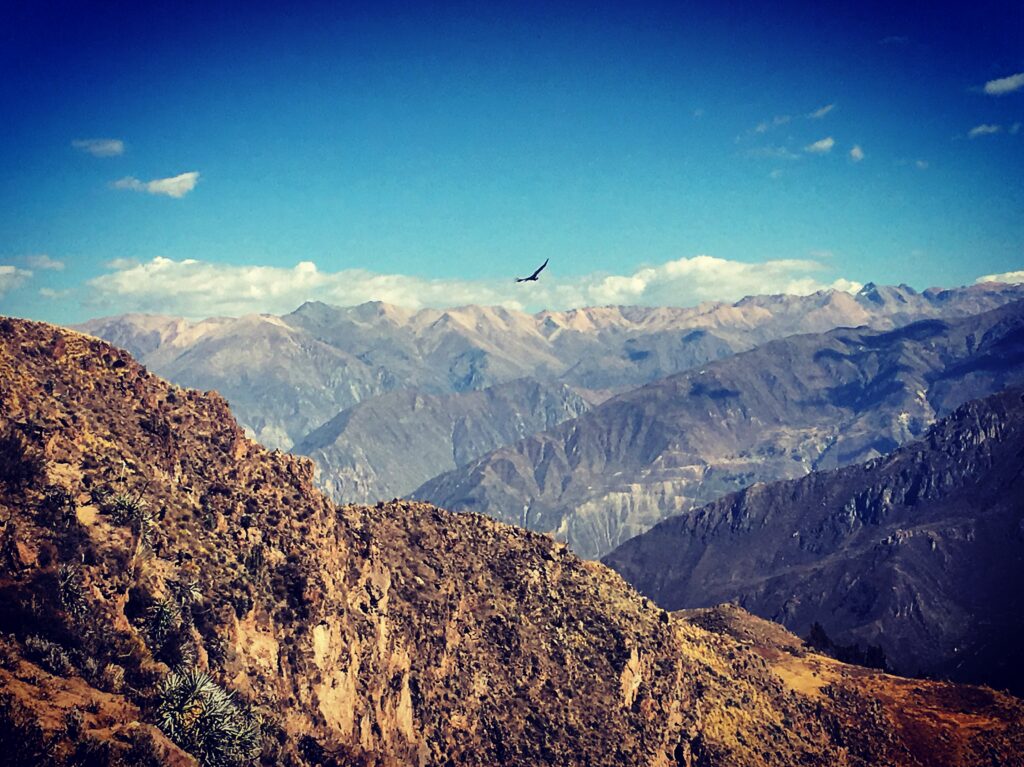 Mirador Cruz del Condor, Canyon del Colca