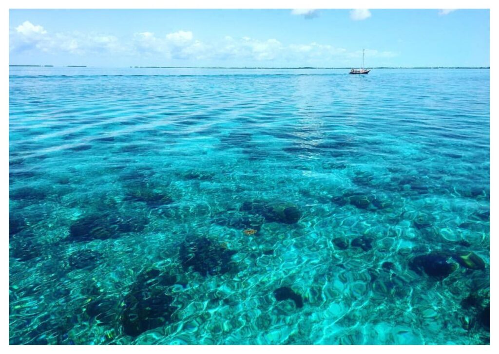 Il mare di Caye Ambergris