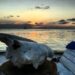 Caye Caulker, l’isola più autentica del Belize