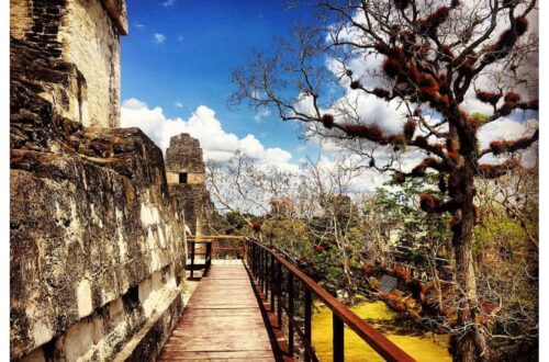 Cosa vedere in Guatemala: il parco nazionale di Tikal