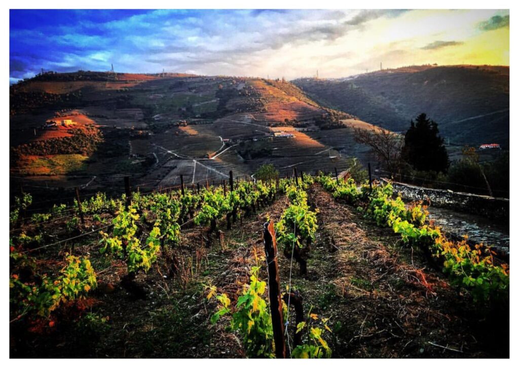 Itinerario di viaggio, Douro Valley