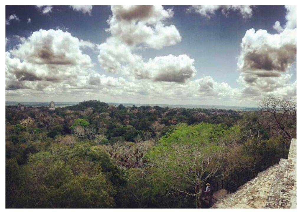 Cosa vedere in Guatemala: Tikal