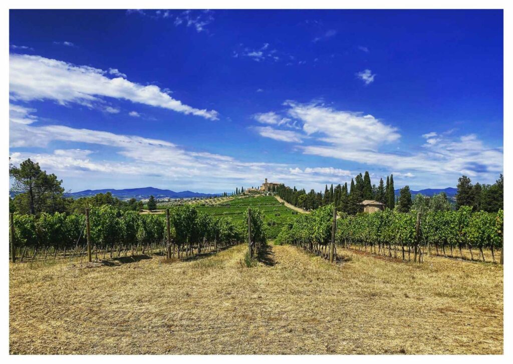 Cantina Castello Banfi