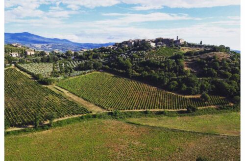 Alla scoperta della Val d'Orcia: Castelnuovo dell'Abate