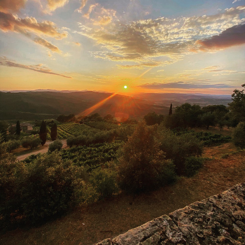 Tramonto a Montalcino