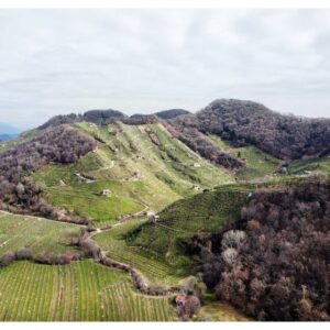 Le Colline del Prosecco di Conegliano e Valdobbiadene: cosa vedere.