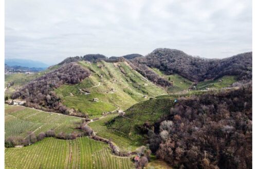 Le Colline del Prosecco di Conegliano e Valdobbiadene: cosa vedere.