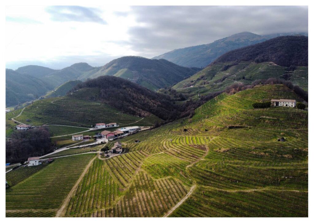 Enotour tra le cantine del Prosecco di Conegliano e Valdobbiadene