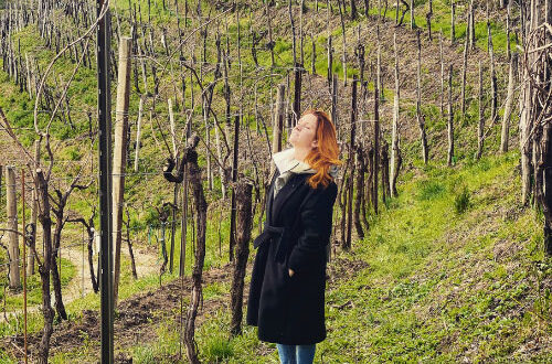 Enotour tra le cantine del Prosecco di Conegliano e Valdobbiadene