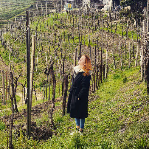 Enotour tra le cantine del Prosecco di Conegliano e Valdobbiadene