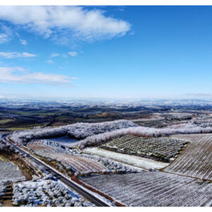 Toscana da scoprire: le cantine del Chianti Classico