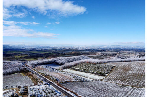 Toscana da scoprire: le cantine del Chianti Classico