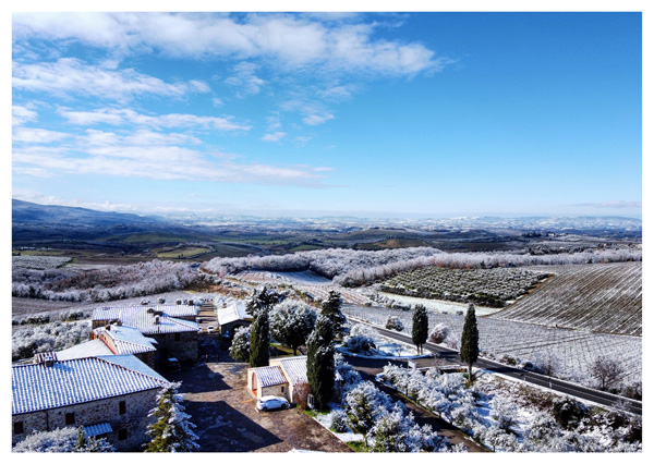 Rocca delle Macìe, Castellina in Chianti