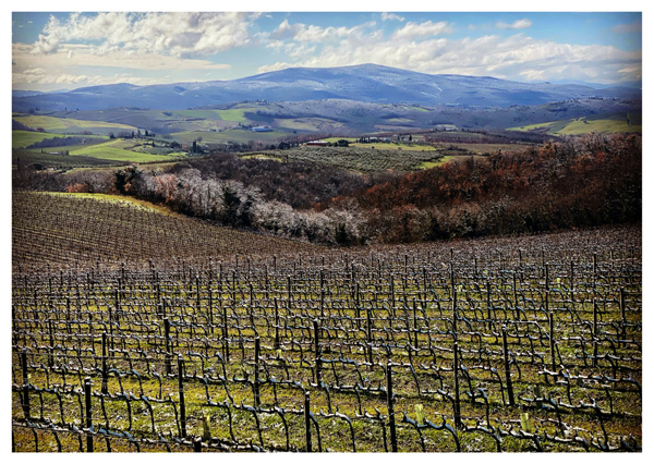 Le colline del Chianti Classico