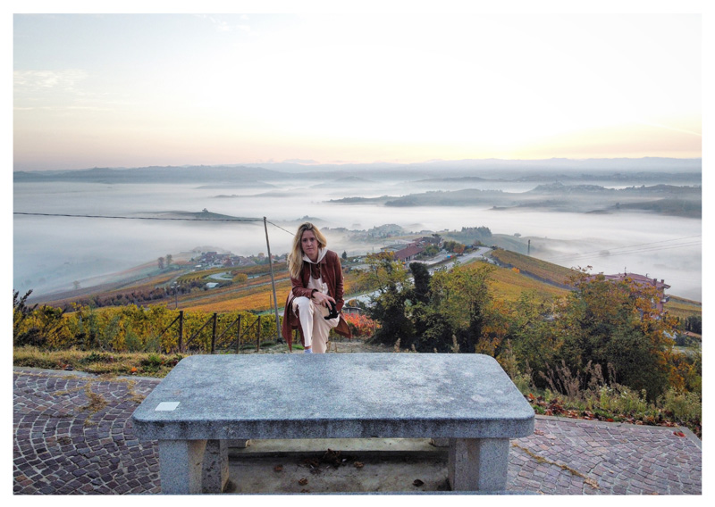 Cantine nelle Langhe