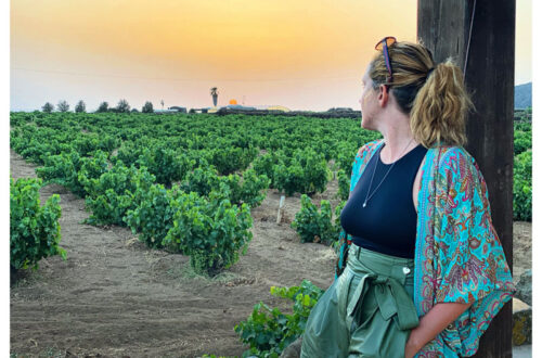 Azienda vinicola di Marco de Bartoli