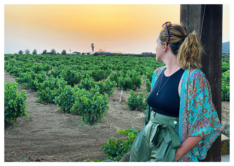 Azienda vinicola di Marco de Bartoli