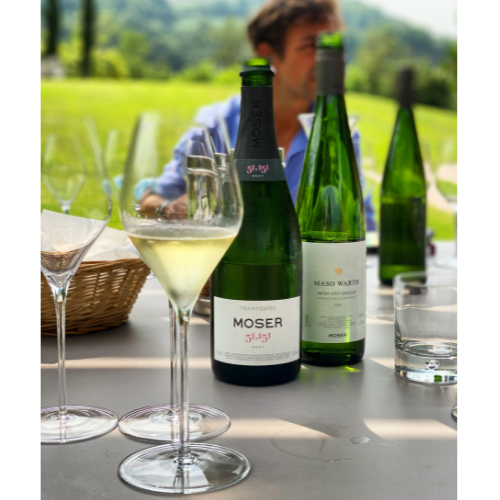 La degustazione nella cantina Moser