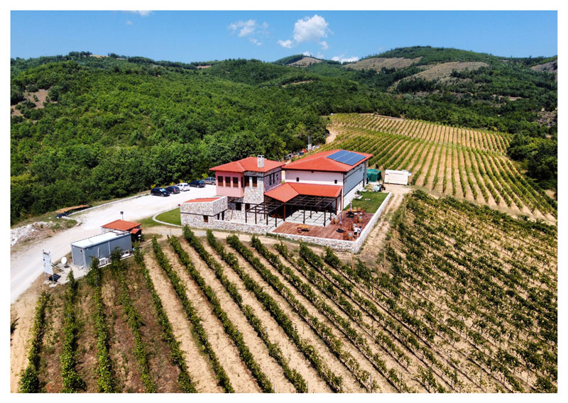 Akrathos Winery, Halkidiki