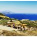 Vini e cantine della Grecia Continentale