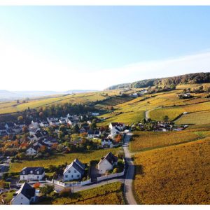 Epernay e i suoi vigneti