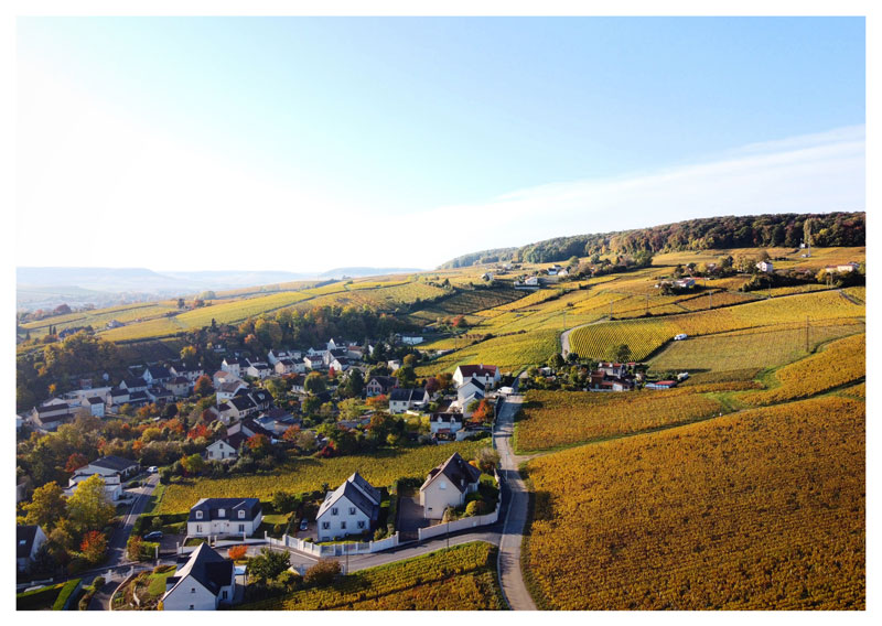 Epernay e i suoi vigneti