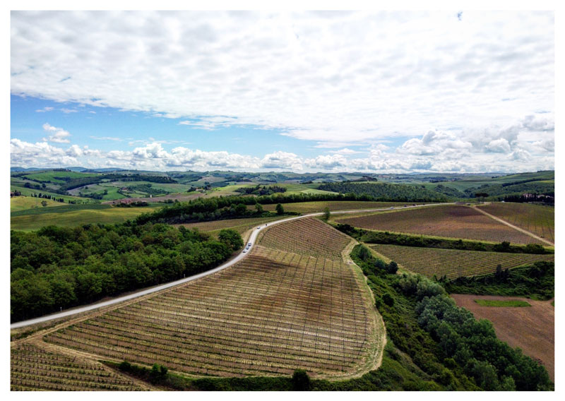 Le vigne di Montalcino