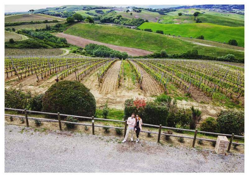 Le cantine di Montalcino