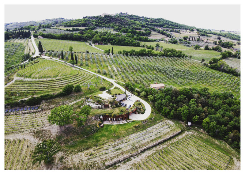 Le cantine di Montalcino