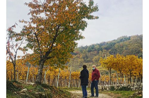 Le cantine della Valpolicella: Ca la Bionda