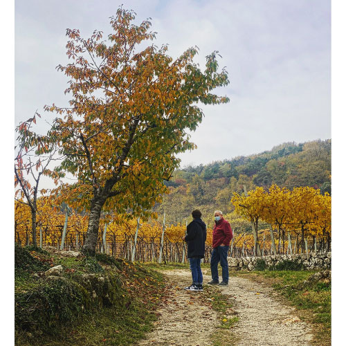 Le cantine della Valpolicella: Ca la Bionda