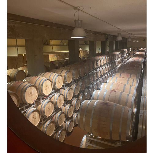 Cosa vedere in Valtellina: le aziende vinicole