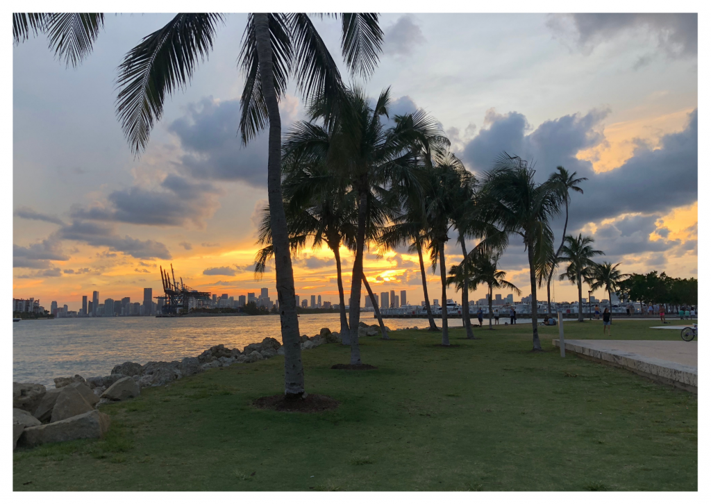 Cosa vedere a Miami: South Point Park