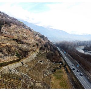 Paesaggi e cantine della Valtellina