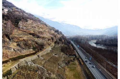 Paesaggi e cantine della Valtellina