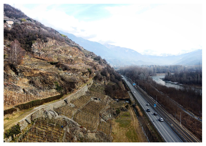 Paesaggi e cantine della Valtellina