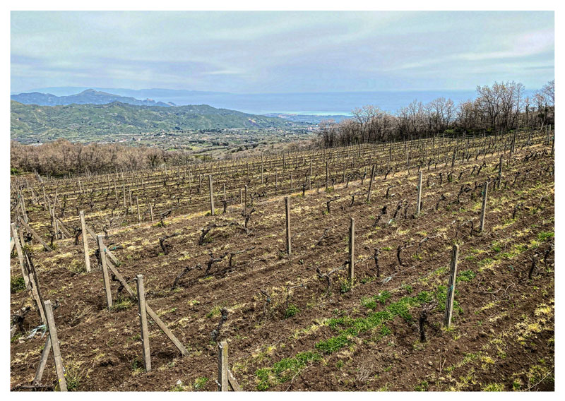 Le cantine dell'Etna: Gambino