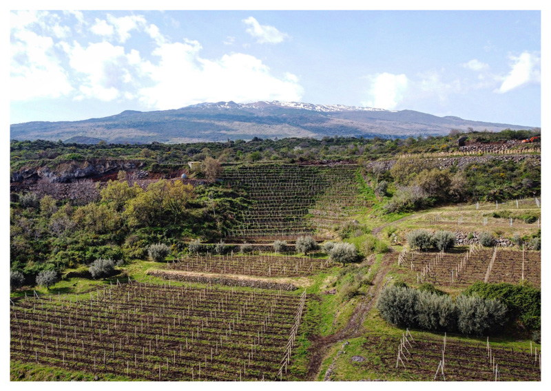 Le cantine dell'Etna