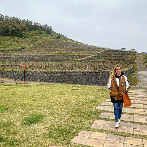 I vigneti e le cantine dell'Etna