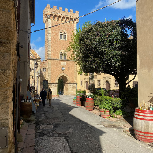 Le strade di Bolgheri