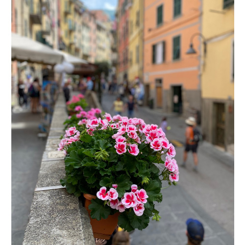 Riomaggiore