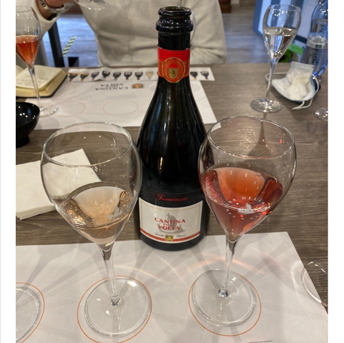 Lambrusco Rosé