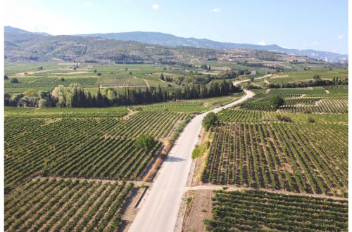 I vigneti di Nemea