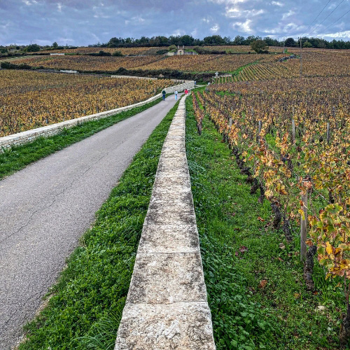 Vosne-Romanée