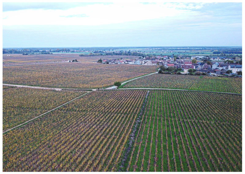 I vigneti di Vosne-Romanée