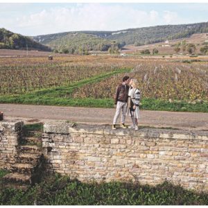 I vigneti di Gevrey Chambertin