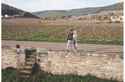 I vigneti di Gevrey Chambertin