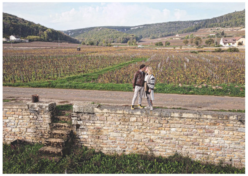 I vigneti di Gevrey Chambertin