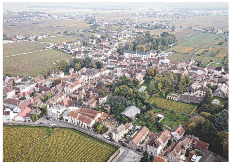 Gevrey Chambertin